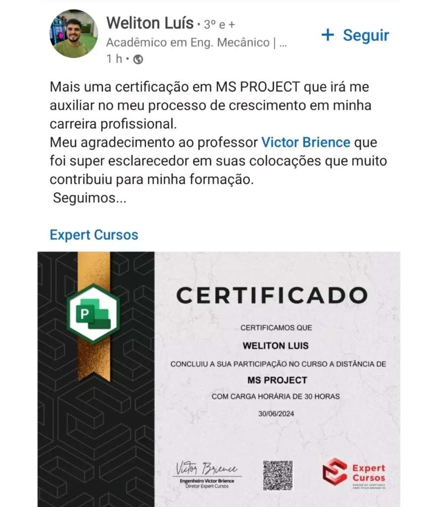 Curso de MS Project