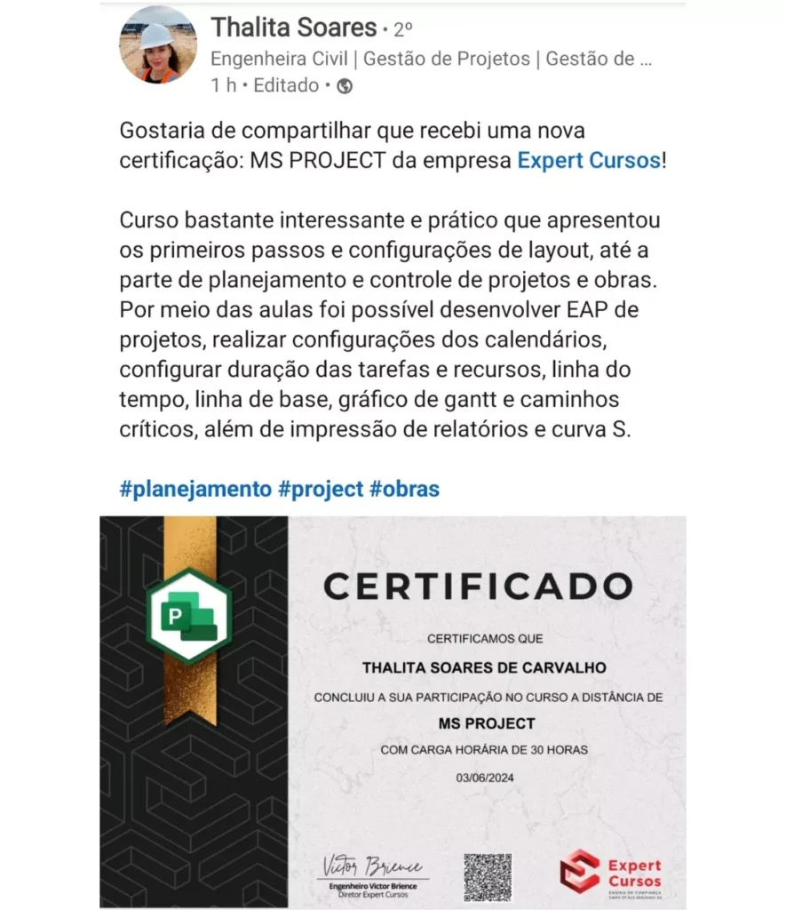Curso de MS Project