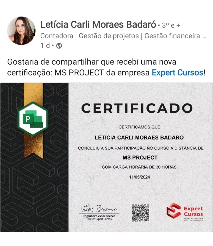 Curso de MS Project